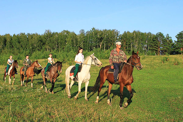 Конные прогулки