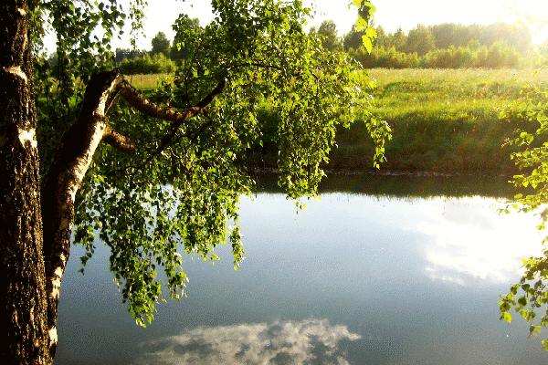 Санаторий Ясные Зори,Река