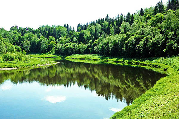 Загородный клуб Тучково,Территория 