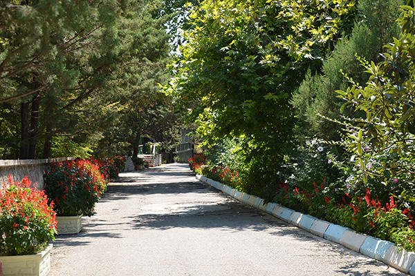 Пансионат Алые Паруса,Территория