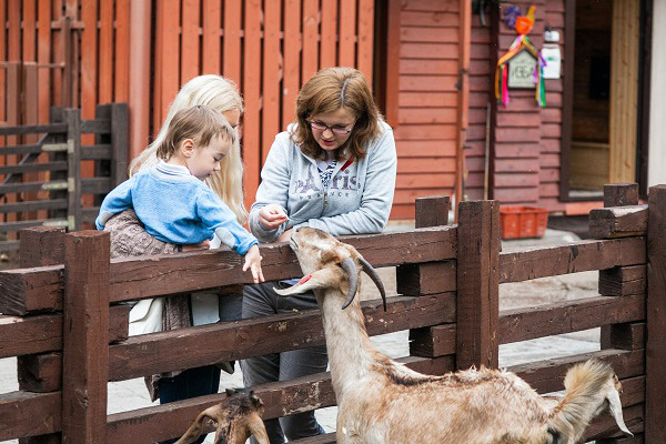 Отель Загородный клуб Артилэнд,Арт-изба