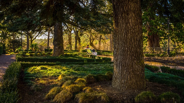 Отель Green park Yalta-Intourist,Парк Green Park