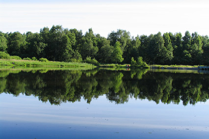 Санаторий Зеленый городок,Территория