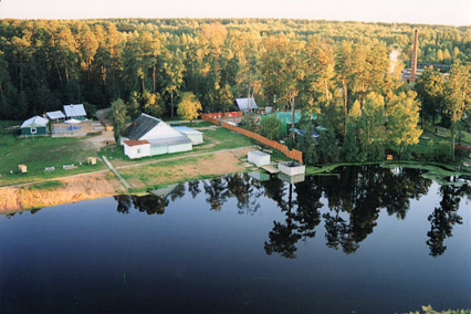 Санаторий Зеленый городок,Территория