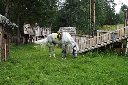 Санаторий Зеленый городок,Территория