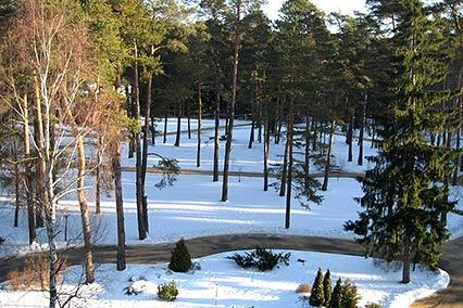 Пансионат Маслово (УДП РФ),Территория