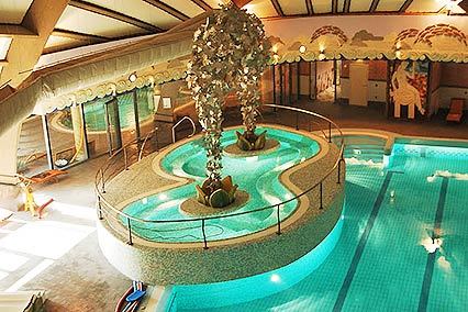 SPA-Отель Druskininkai (Grand Spa Lietuva),Бассейн