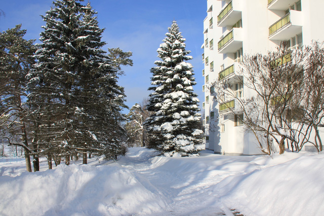 Пансионат Петрово-Дальнее (УДП РФ),