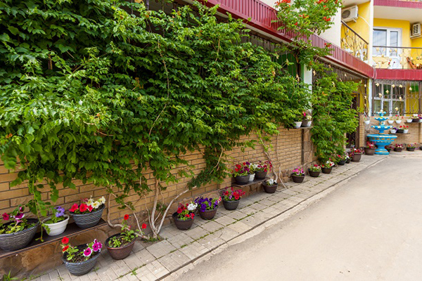 Отель Леннара (Lennara Hotel),Территория