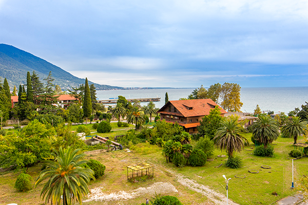 Отель Санрайз Гарден (Sunrise Garden),Вид