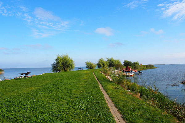 Отель Плесков,Территория