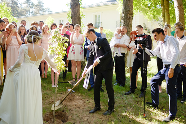 Свадьбы (Weddings)