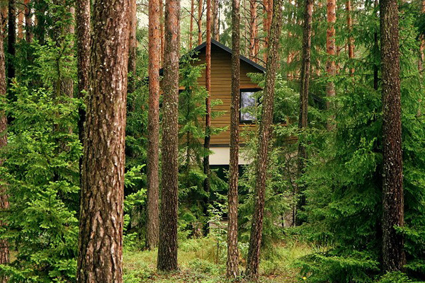 Оздоровительный комплекс санаторного типа Ислочь-парк Спрятанный в лесу гостевой дом