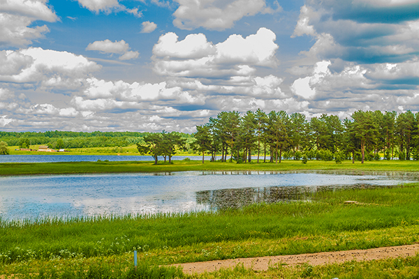 Загородный комплекс Green Gold Park,Территория