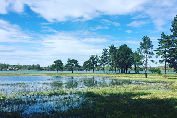 Загородный комплекс Green Gold Park,Территория