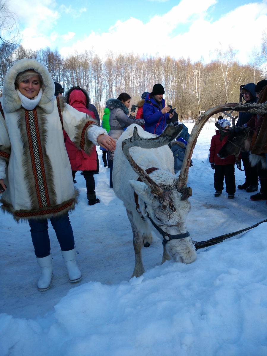 Загородный отель Малеевка,анимация