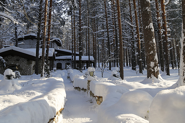 Лесная чайная в мещерском парке зимой