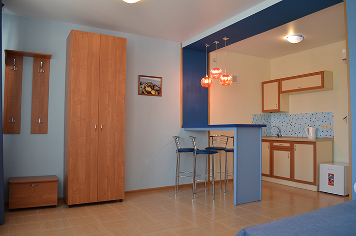 Студия 2-местный 1-комнатный с мини-кухней