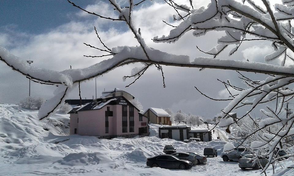 Отель Gudauri Soncho Hotel,