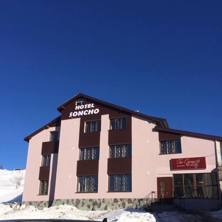 Отель Gudauri Soncho Hotel,