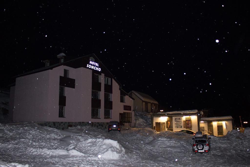 Отель Gudauri Soncho Hotel,