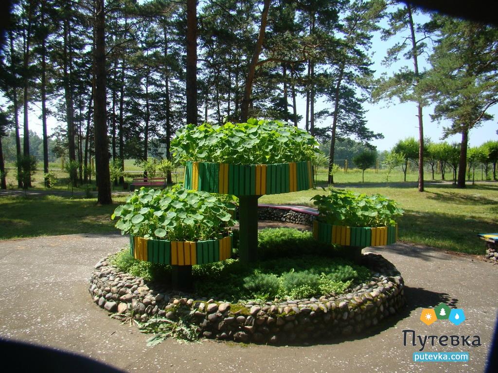Обские плесы санаторий в алтайском крае