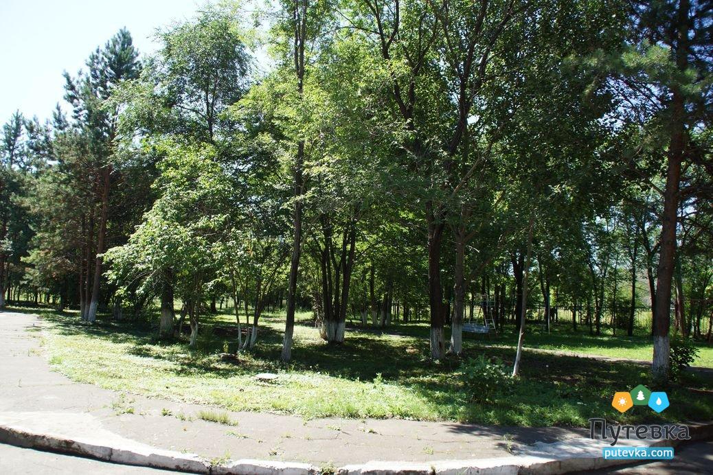 Комсомольск на амуре санаторий металлург