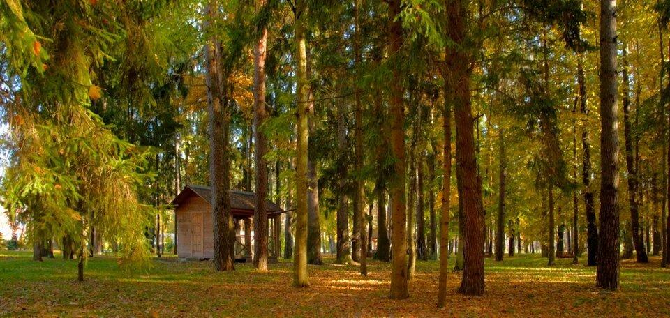 Санаторий домашово брянская область официальный сайт