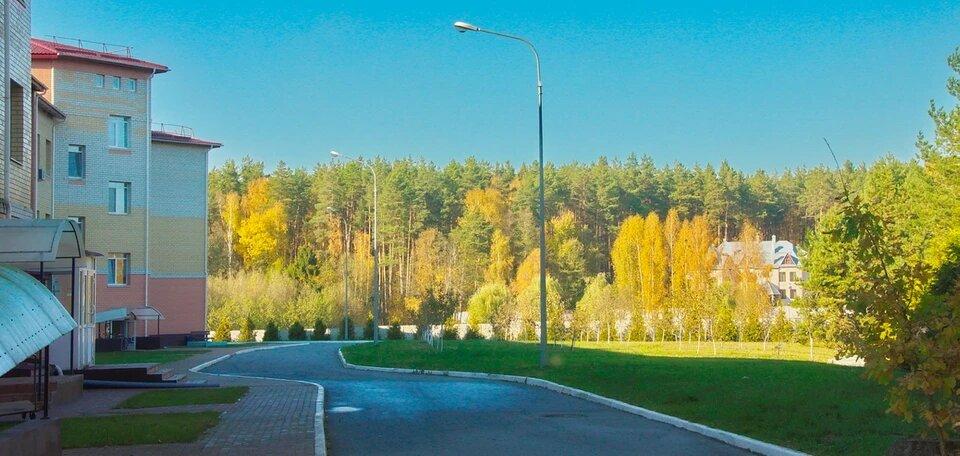 Санатории брянская область официальный сайт