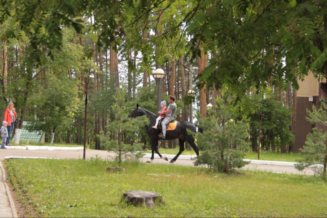 Санаторий космос глусский район фото