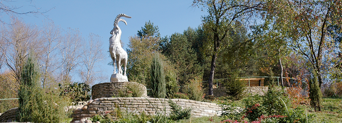 Санаторий Варзи-Ятчи,