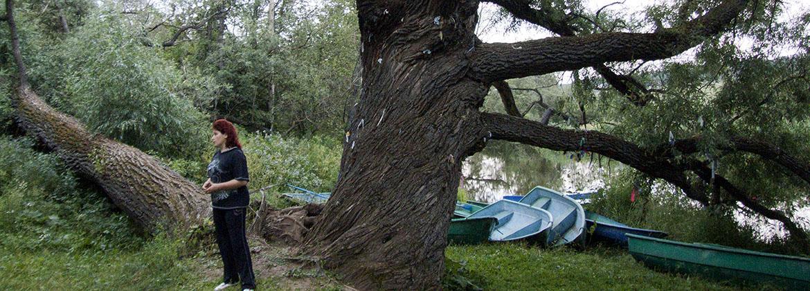 Санаторий Варзи-Ятчи,