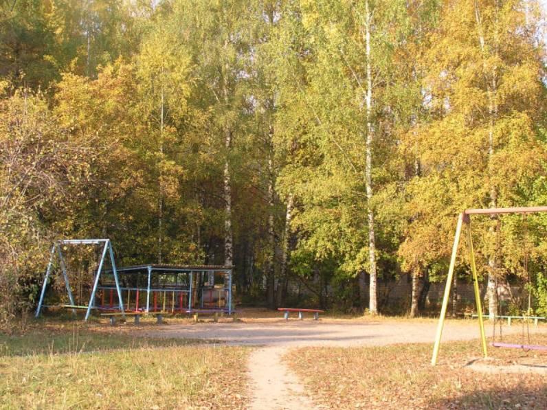 Детский санаторий большая ельня нижегородская область