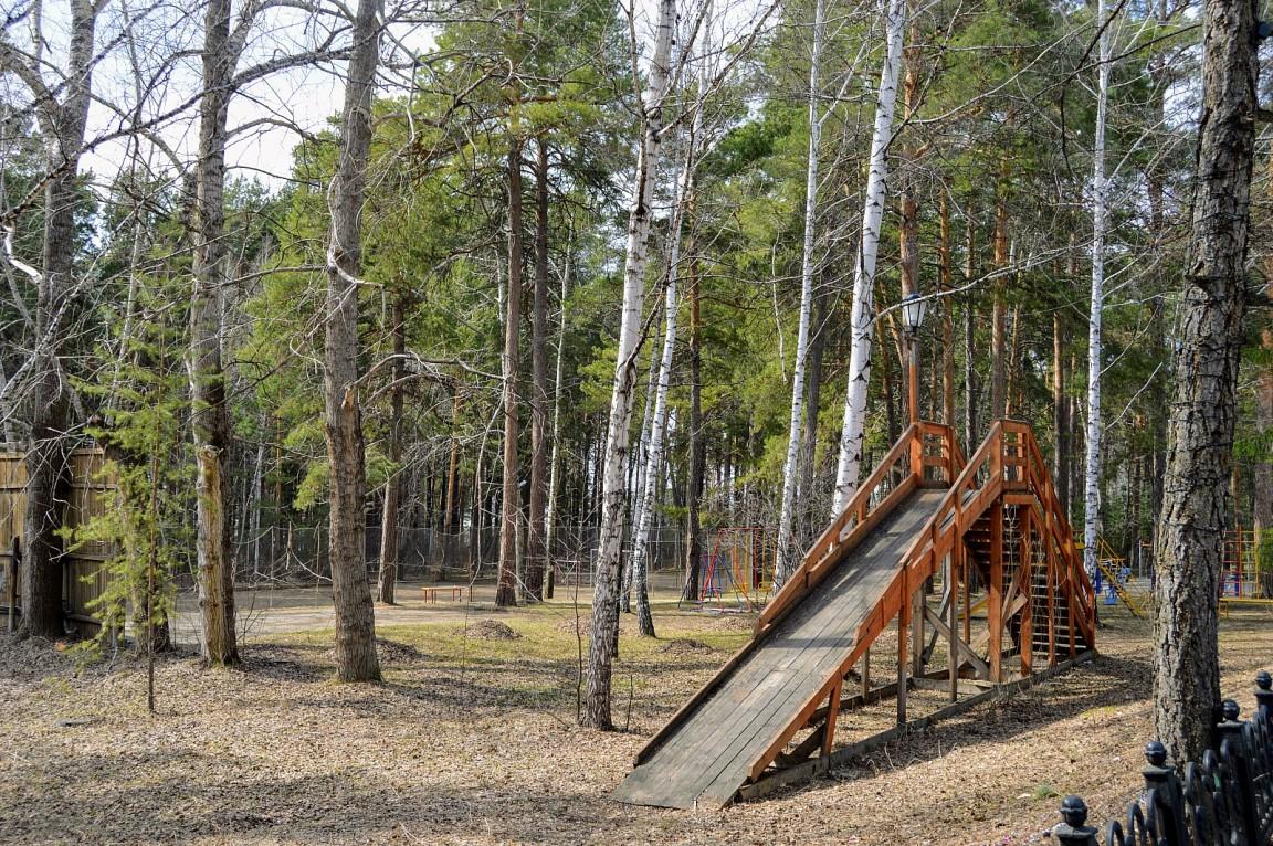 Санаторий Ельцовка (Новосибирская область, Сибирь, Россия) - Официальные  цены на отдых 2024 год, сайт бронирования