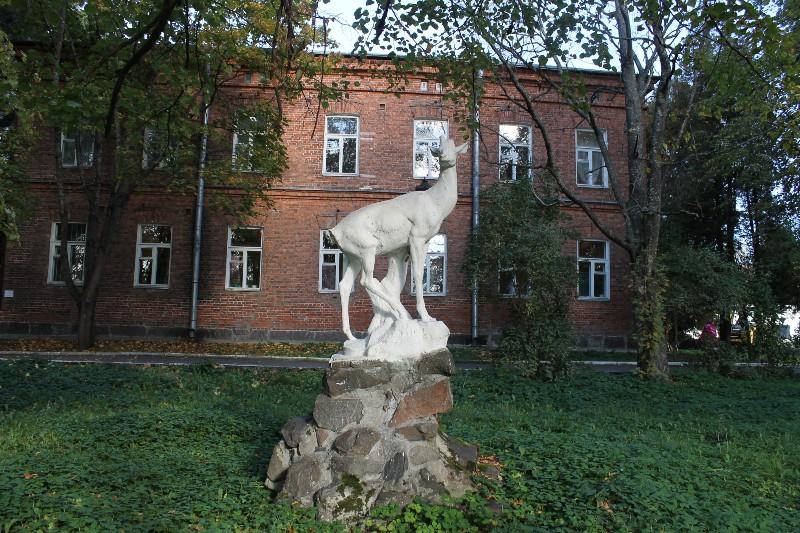 Санаторий приозерский номера