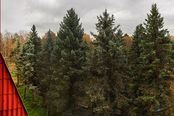 Кардиологический санаторный центр Переделкино,Осень