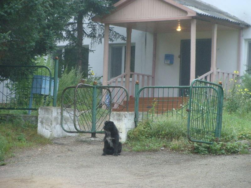 Санаторий Горноводное,