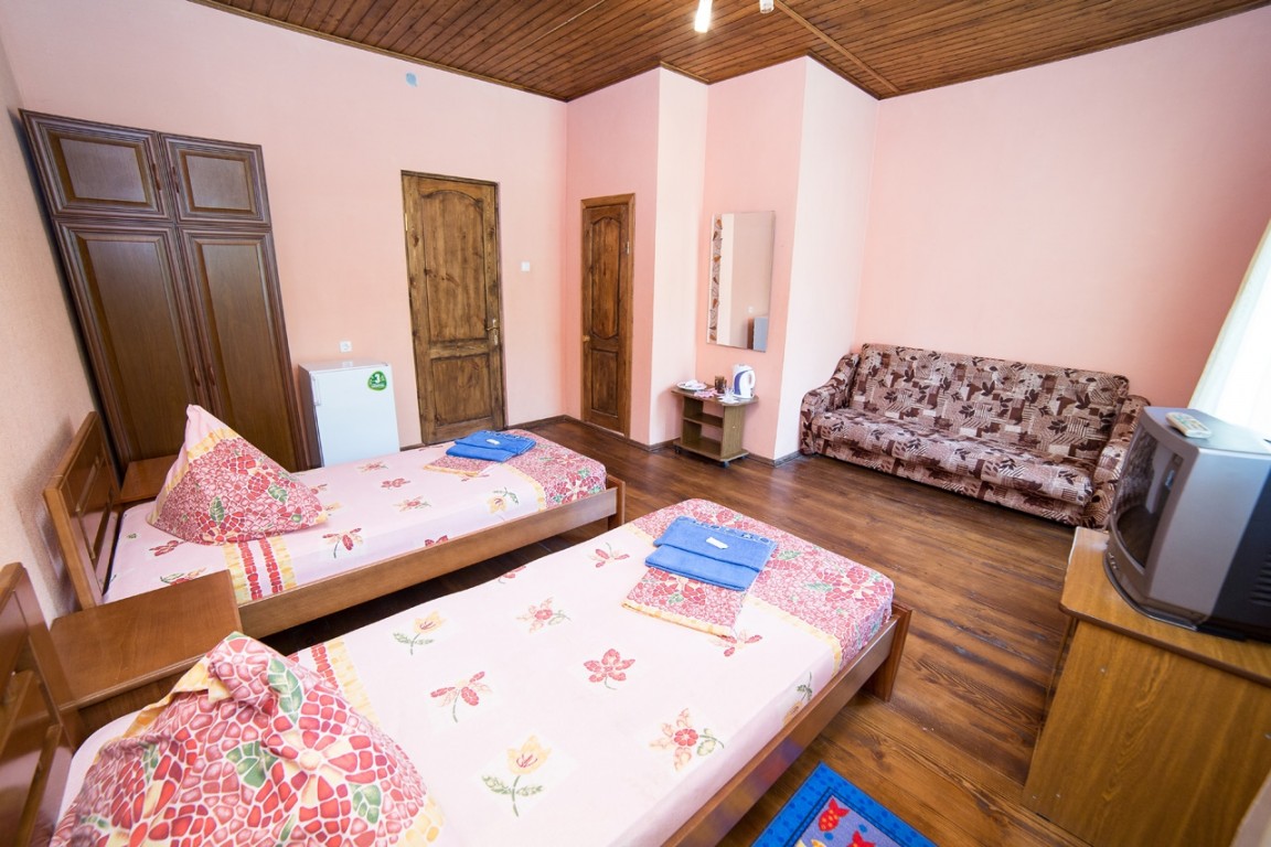 Гостиница Абхазия  2-местный 1-комнатный номер