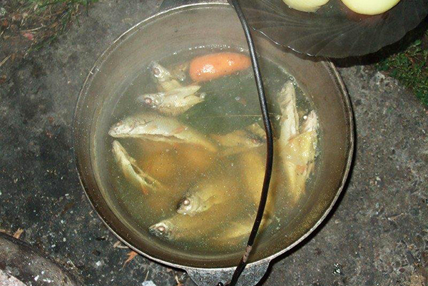 Уха