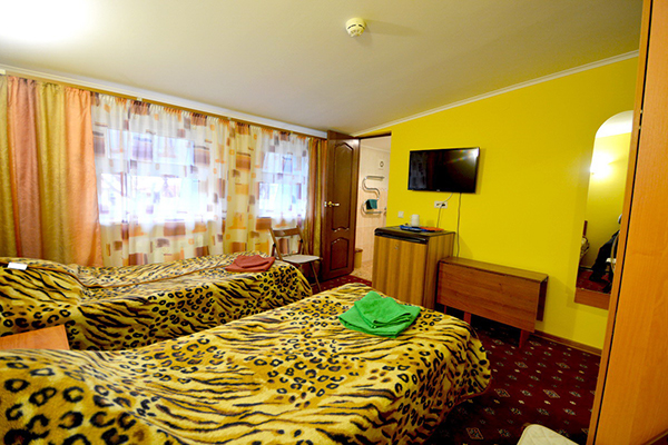 Отель Изумрудный,Двухместный номер с раздельными кроватями без балкона