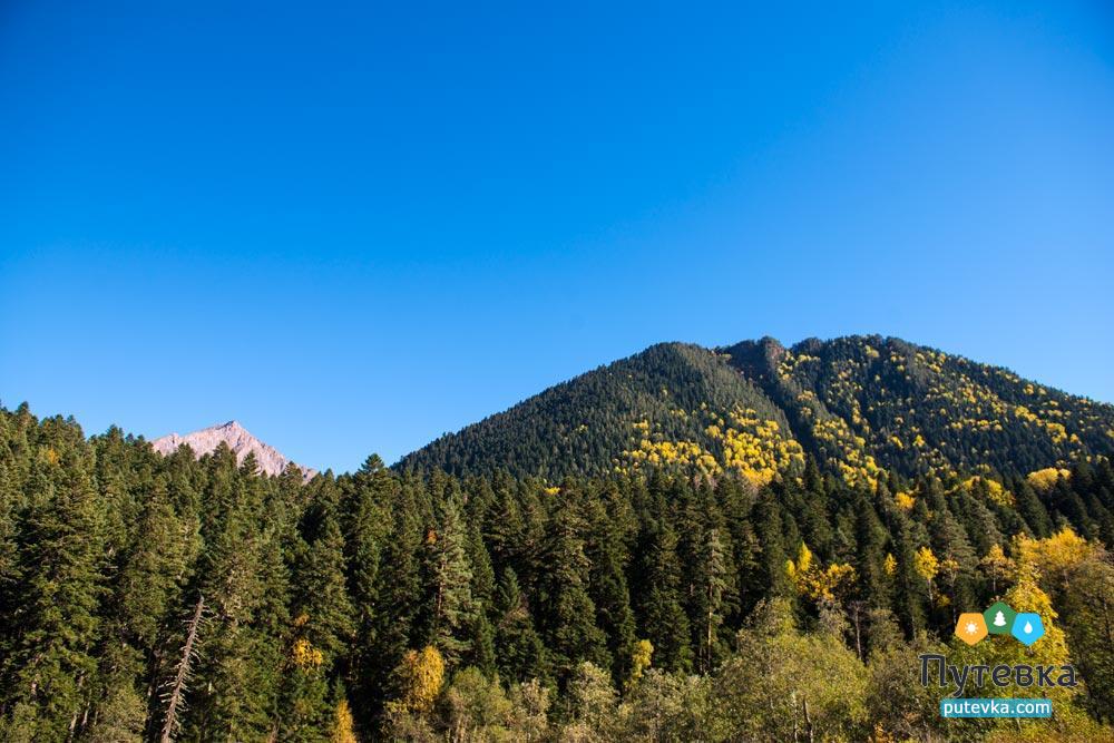 Пансионат Кубань,