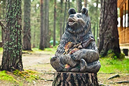 Загородный комплекс Большая Медведица,Территория