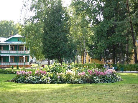 Санаторий Зеленый городок,Территория