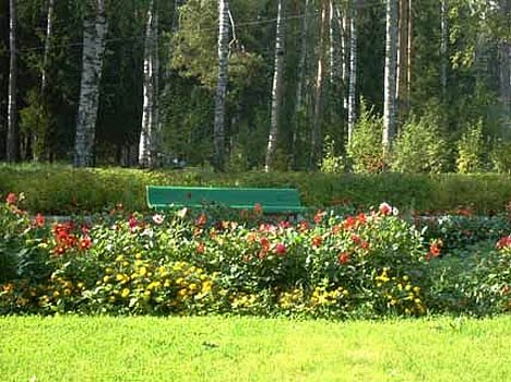 Санаторий Зеленый городок,Территория