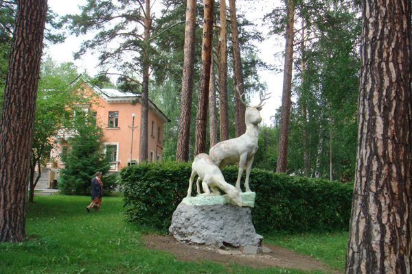 Санаторий Сосновая горка,Территория санатория