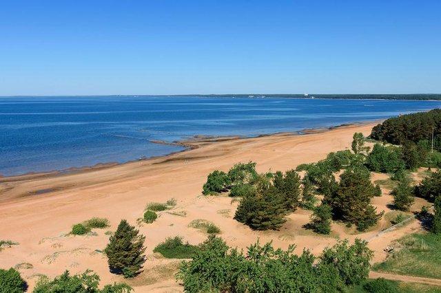 Санаторий Сестрорецкий курорт ,