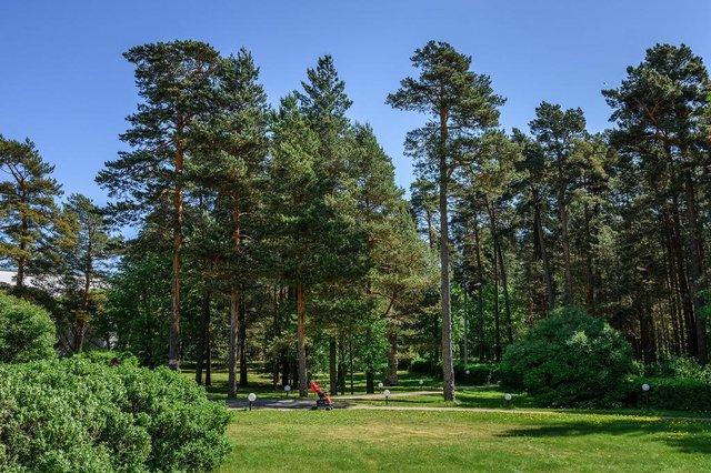 Санаторий Сестрорецкий курорт ,