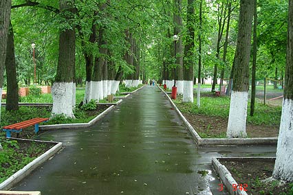 Санаторий Воробьево,аллея