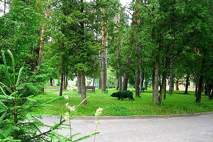 Санаторий Бэс Чагда,Территория