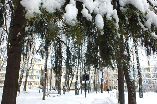 территория
